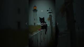 #faith #animationforkids #quranrecitation #animatedshort