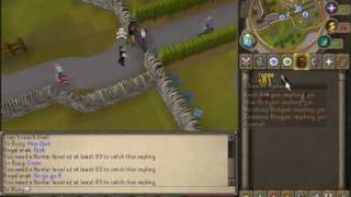 Catching A Dragon Imp Out Of Puro Puro Impetuous Impulses