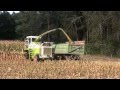 ihc1455 Maisfahren mit CLAAS Jaguar auf Gut Buchenhof HD