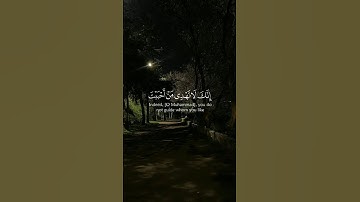 إنك لا تهدي من أحببت ولكن الله يهدي من يشاء | #القرآن #تلاوة #ياسر_الدوسري #صوت_الخشوع #سورة_القصص