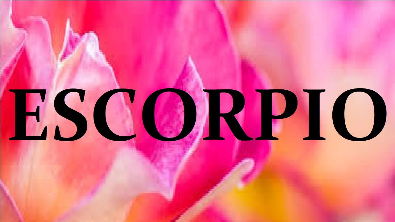 ESCORPIO 😱NO TE IMAGINAS LO QUE VIENE ENTRE TU Y TU PERSONA ESPECIAL😍 ...