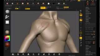 Speed sculpt: Anatomy in ZBrush screenshot 1