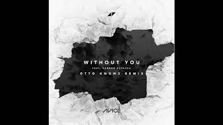 Avicii - Without You Feat. Sandro Cavazza (Otto Knows Remix)