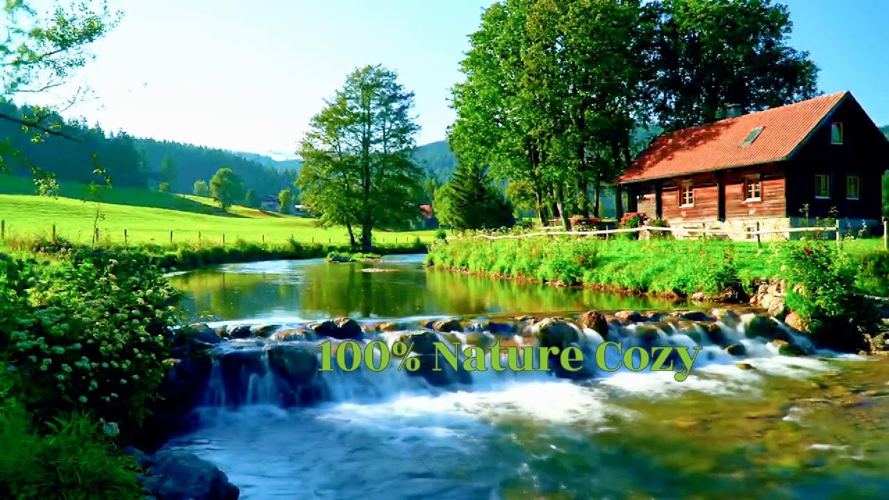 Relaxing Forest River Sounds | Nature Sounds For Sleeping Or Studying ...
