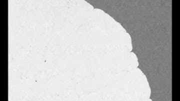 Magnetic microscopy and topological stability of homochiral Néel domain walls in a Pt/Co/AlOx