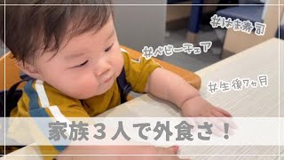 【子連れ外食】ベビーチェアベルトを買ったので回転寿司に行ってきました！【生後7ヶ月】