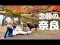 [ 念願の奈良 ] 日本大好き！感動いっぱい！絶景紅葉・外国人の反応