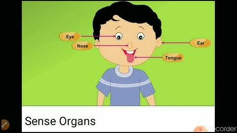 Class 1 Chapter 3 My sense organs( Revision video)