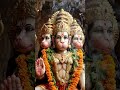 ❤️❤️❤️❤️💕💕JAY SHREE HANUMAN 😍❤❤😍😍❤❤#shorts