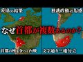 首都が2つ以上ある国7選【ゆっくり解説】