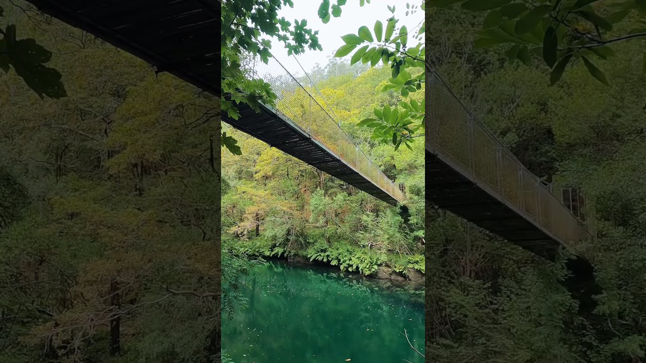 Fragas do Eume - Un paraíso natural en #Galicia