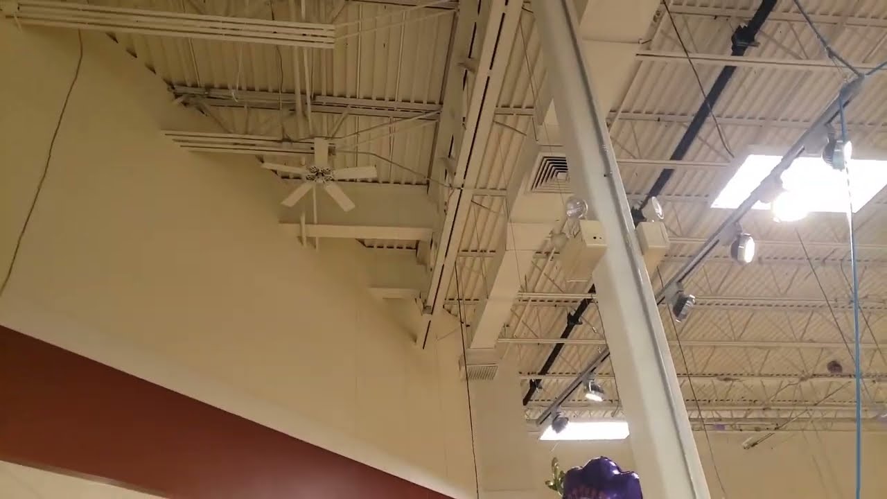 Hunter Original Ceiling Fans in a grocery store YouTube