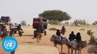 Increasing Sudanese Refugees in Chad Amid Underfunded Aid Concerns | News Flash | United Nations