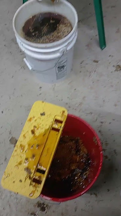 5-gallons-of-honey-youtube