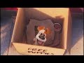 『ペット』 - 最高の瞬間