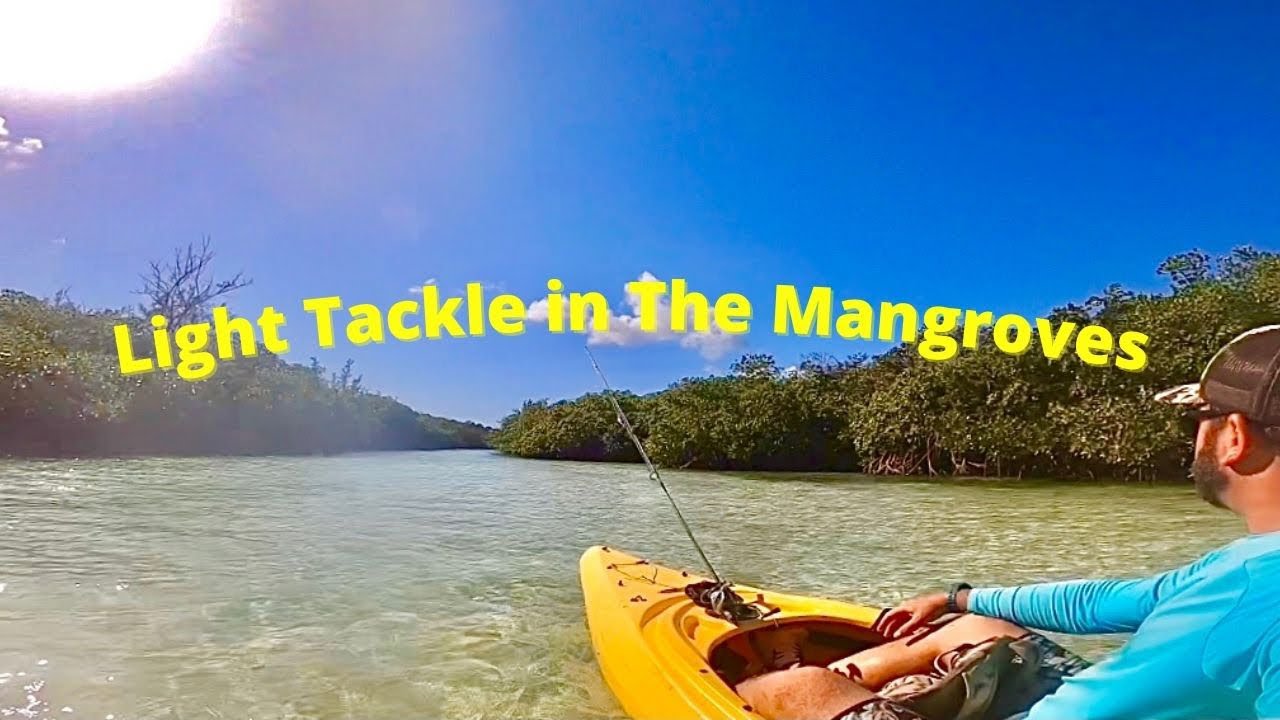 Light-tackle Fishing From The Kayak + Fresh Snapper Ceviche! Eleuthera  Bahamas 