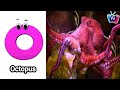 ABC Song | Sea Animals ABC Song | Phonics for Kids, Learn ABC, Baby Alphabet Letters