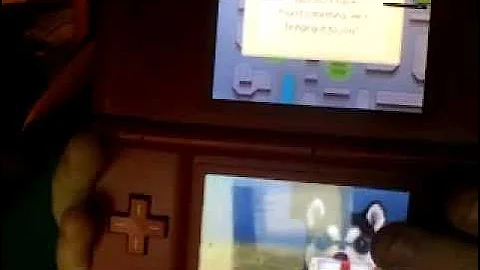 Exploring my Nintendogs versions