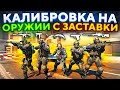 ПРОШЛИ КАЛИБРОВКУ НА ОРУЖИИ С ЗАСТАВКИ В CS2!