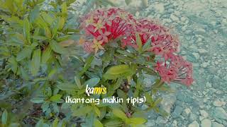 story' wa hari kamis