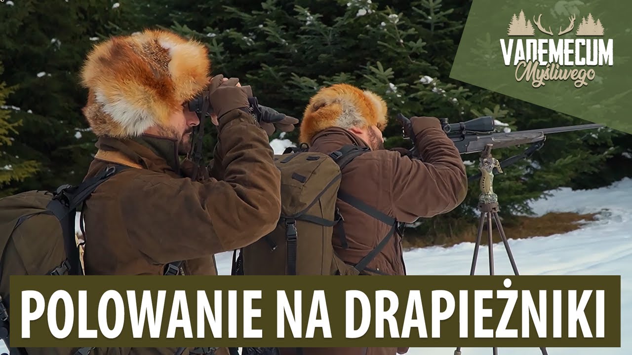 Sposoby Polowania Drapieżników #105 Polowanie na DRAPIEŻNIKI na Podhalu - YouTube