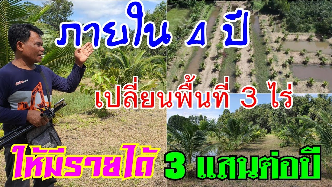 เปลี่ยนพื้นที่ 3 ไร่ ให้มีรายได้ 3 แสนต่อปีภายใน 4 ปี - Youtube