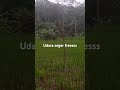 Udara segar freeess