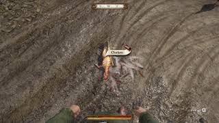 Punch a Chicken! screenshot 2