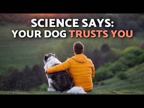 10 Surprising SIGNS Your DOG TRUSTS You Explained By Science 