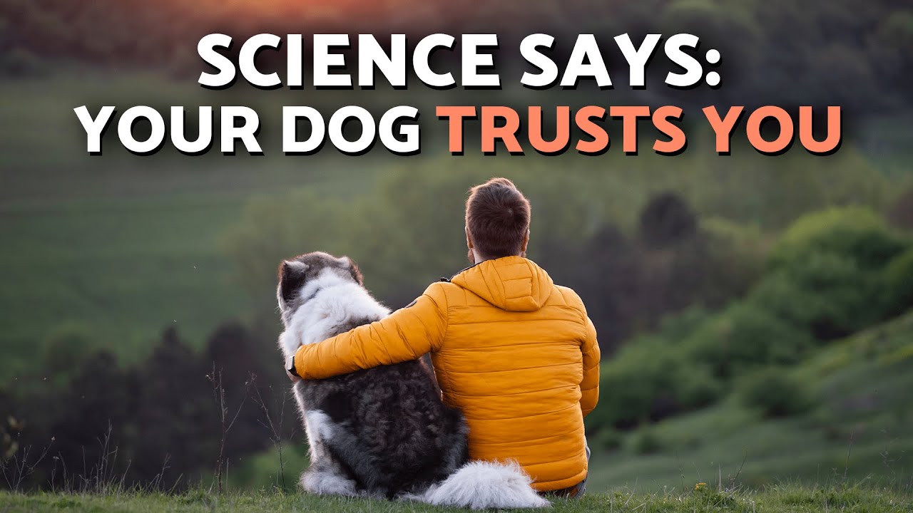 10 Surprising SIGNS Your DOG TRUSTS You 🦮☺️✨ (Explained by Science!)