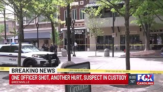Officers released from hospital after shooting in Greenville