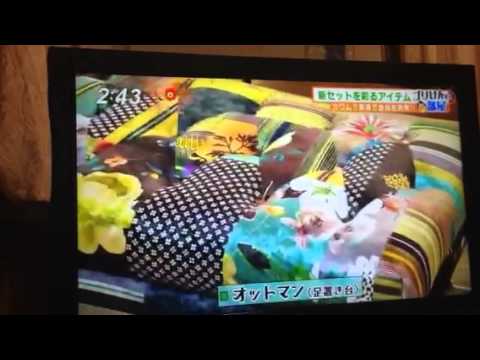 河村社長「今日感テレビ出演」