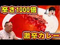 【激辛】通常の1000倍の激辛カレーに挑戦【モジャカレー】