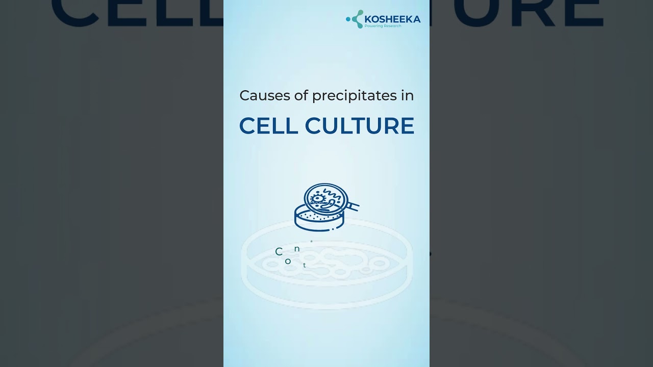 Are you observing cloudiness in your cell culture? 
