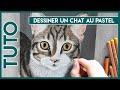 Tuto n16 dessiner un chat au pastel  close to art