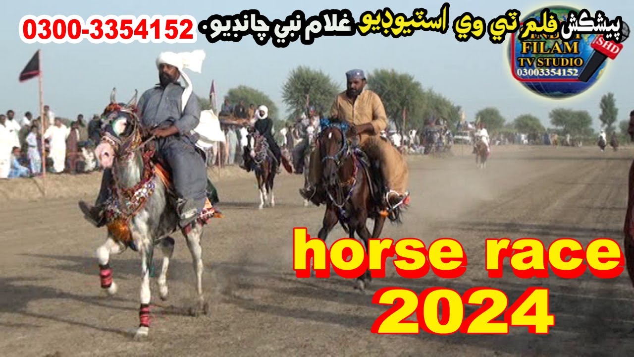 Ghora Raching #horserace #ghora race in #2024Pakistani #sanghar #shahdadpur # ...