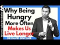 Why being hungry more often makes us live longer  dr david sinclair interview clips