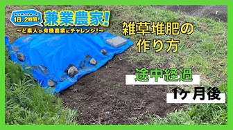 雑草堆肥 Youtube