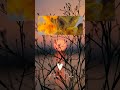 A short & coolest animation