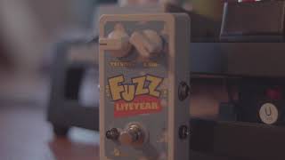 Finch Electronics - Fuzz Liteyear