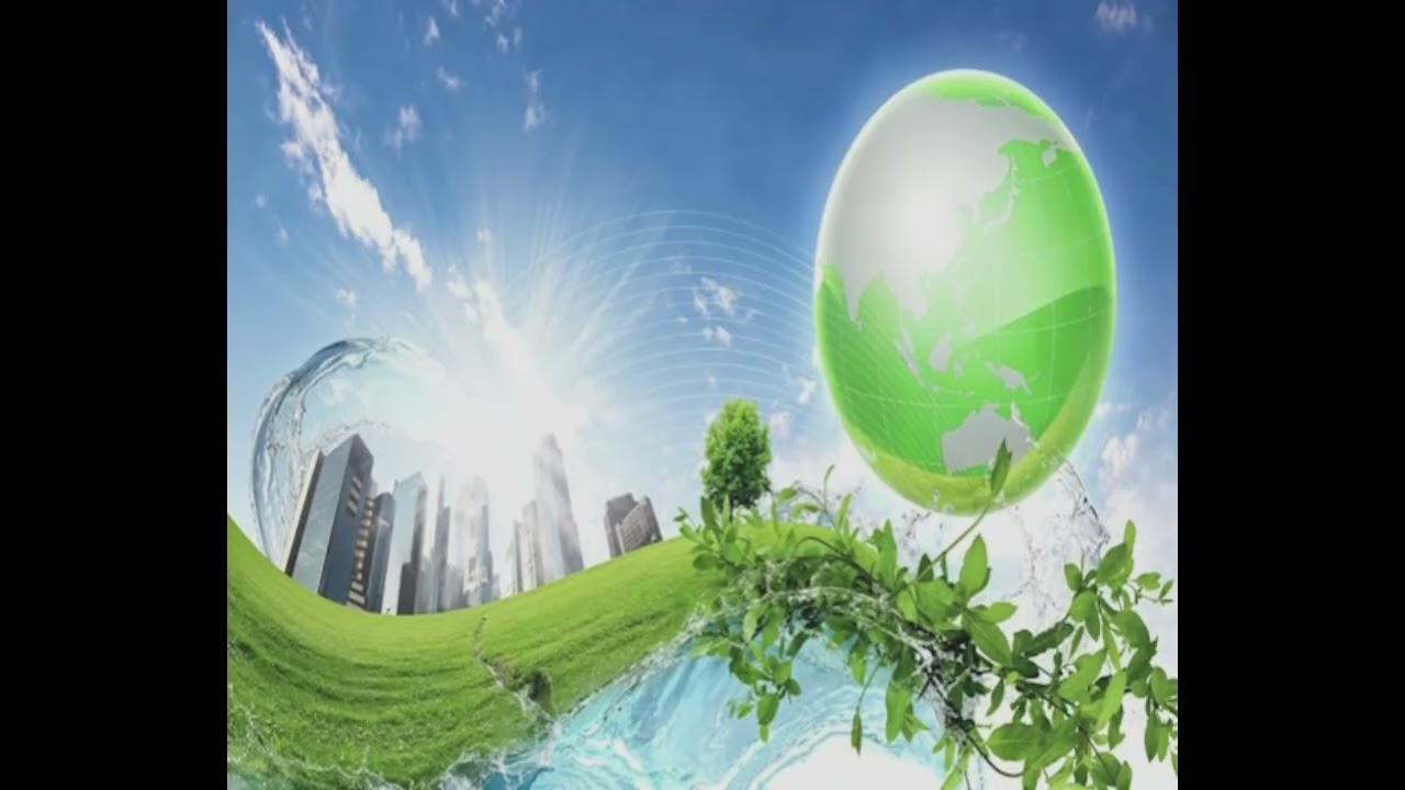 helping your mom wit da groceries in 2013 ahh beat