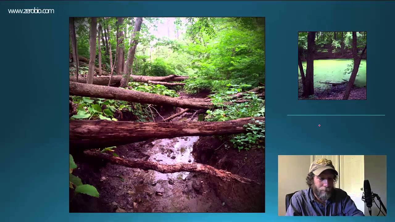 GR 11. Краткое содержание «Разнообразие» (видеоурок по науке)