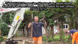 Removing Old Fence Panels Before Stump Removal