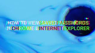 How to View Saved Password in Google Chrome & Internet Explorer | Easy Method