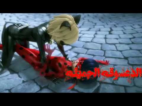 اغنية انا لما بحب الدعسوقة والقط الاسود 