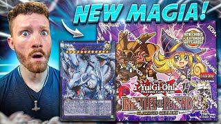 Searching for the NEW $1,000 Full Art Dragon Master Magia from
