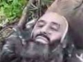 رحلة الخلود 3gp 