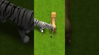 Singa dan Harimau Putih #shorts