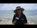 KSPN2 NEWS June 23, 2022