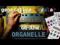 Relax and watch me turn knobs  organelle w orhack and op1